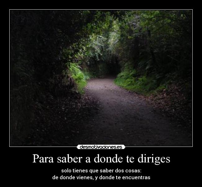 carteles frase vida filosofia nades desmotivaciones