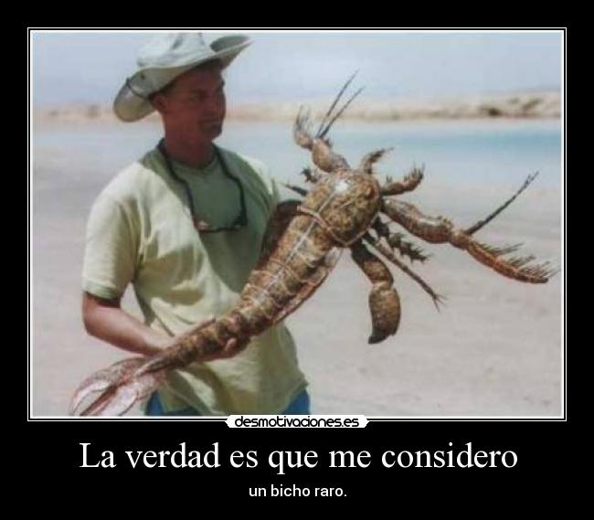 La verdad es que me considero - un bicho raro.