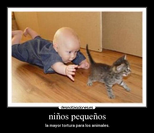 niños pequeños - la mayor tortura para los animales.