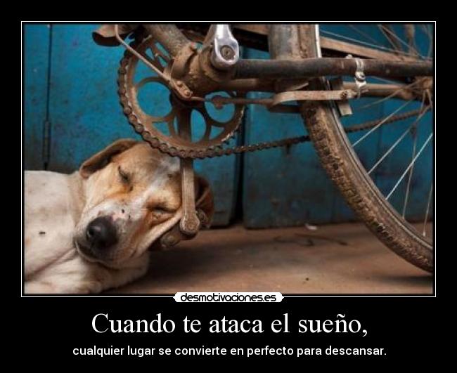 carteles perro sonando pedal bicicleta desmotivaciones