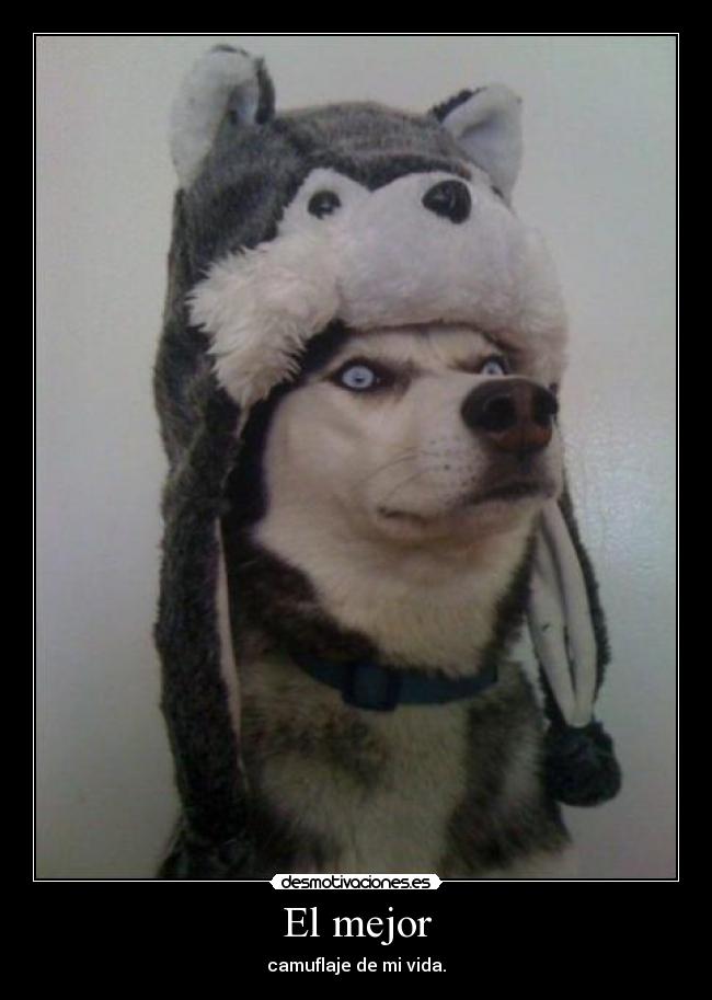 El mejor - camuflaje de mi vida.