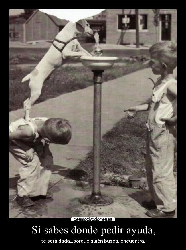 Si sabes donde pedir ayuda, -