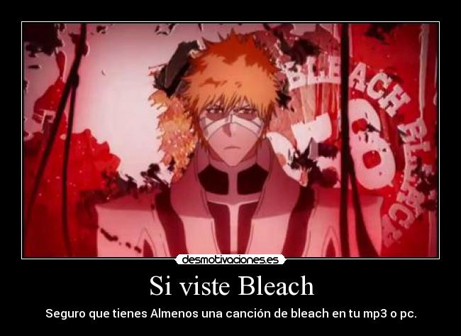 Si viste Bleach -