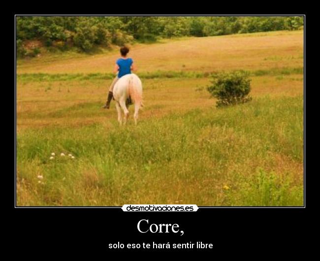 carteles estelaarlegui caballos paulatorcida desmotivaciones