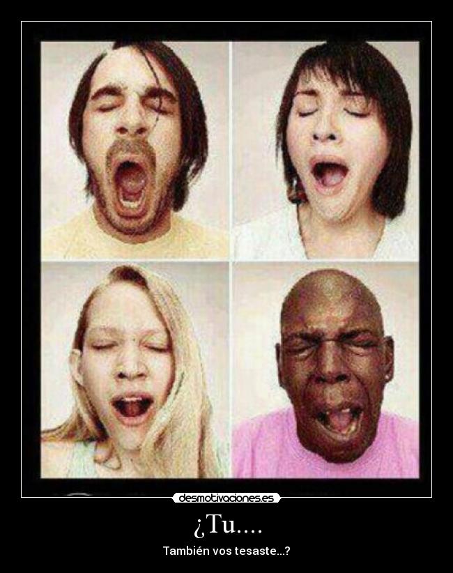 ¿Tu.... - También vos tesaste...?