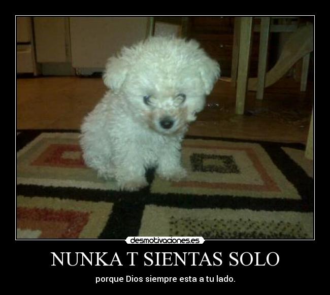 NUNKA T SIENTAS SOLO -