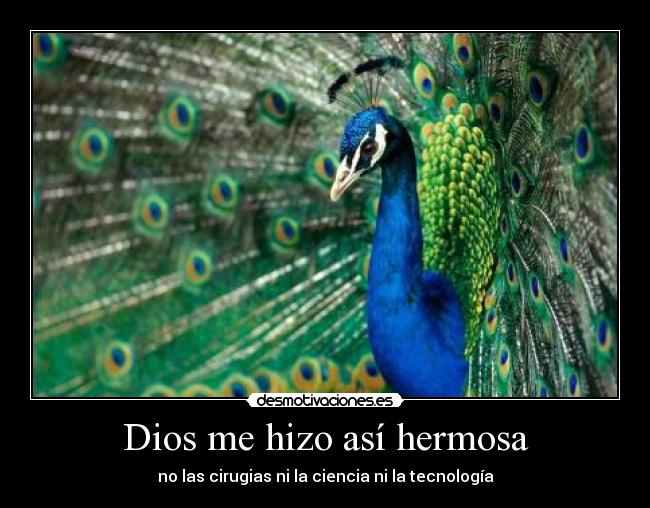 Dios me hizo así hermosa -