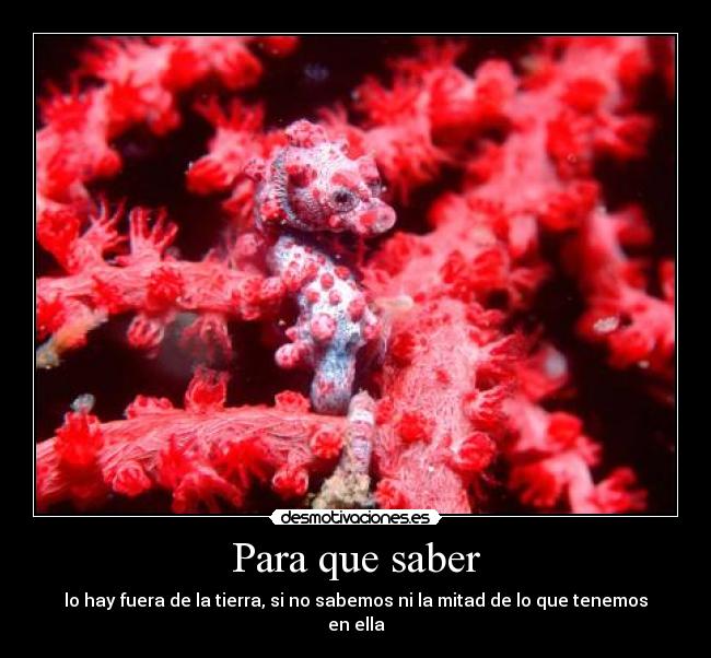 Para que saber - 