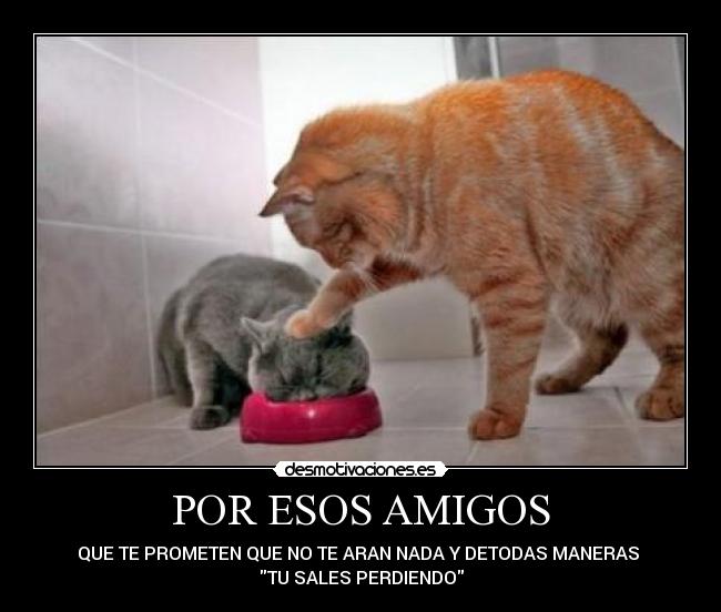 POR ESOS AMIGOS - QUE TE PROMETEN QUE NO TE ARAN NADA Y DETODAS MANERAS
TU SALES PERDIENDO