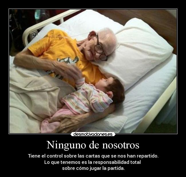 carteles steven alten desmotivaciones