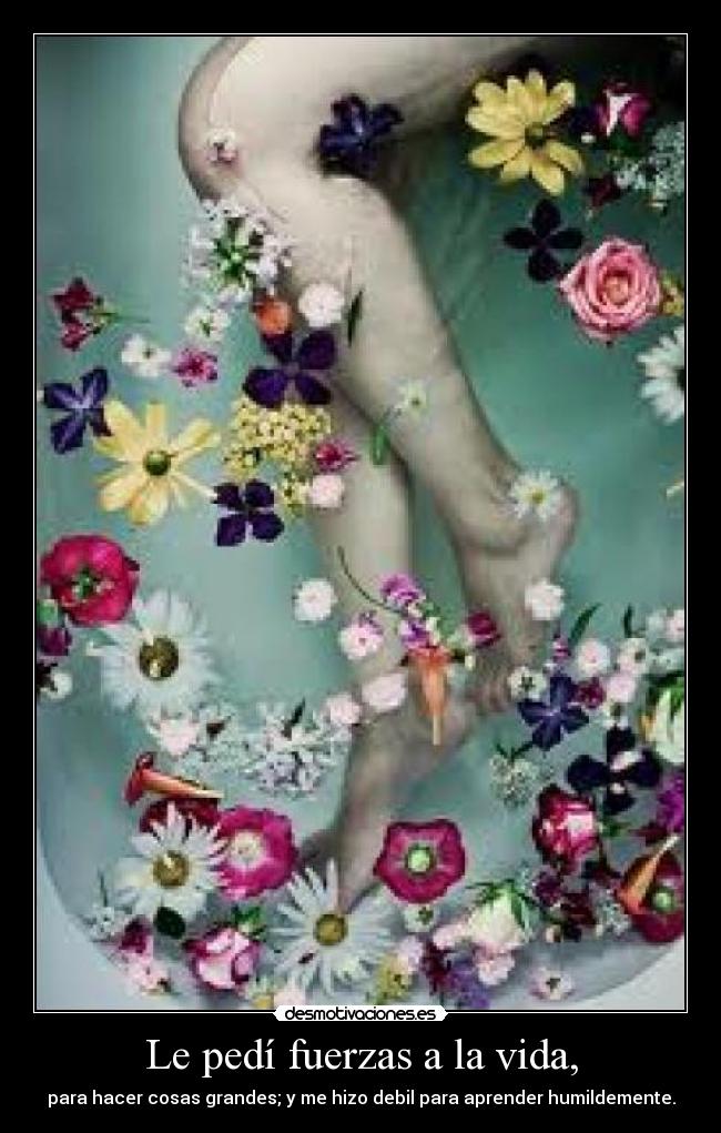 Le pedí fuerzas a la vida, - para hacer cosas grandes; y me hizo debil para aprender humildemente.