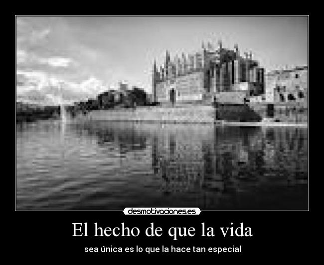 El hecho de que la vida - sea única es lo que la hace tan especial