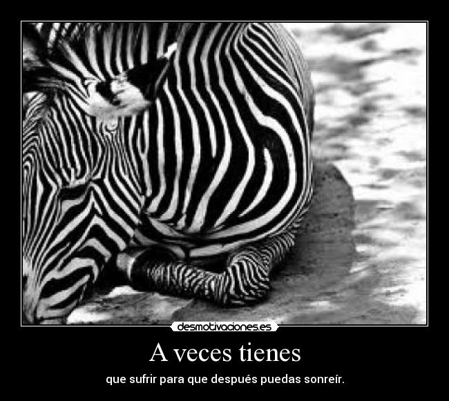 carteles vida desmotivaciones