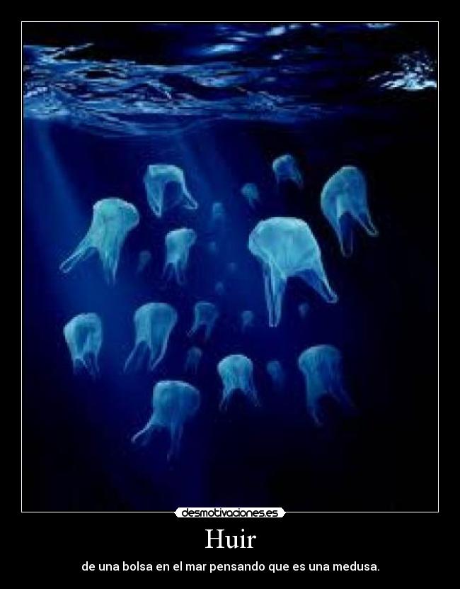 Huir - de una bolsa en el mar pensando que es una medusa.