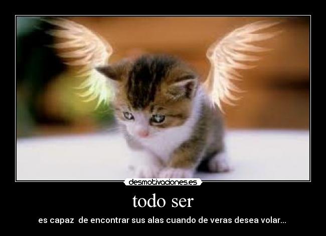 todo ser - es capaz de encontrar sus alas cuando de veras desea volar...