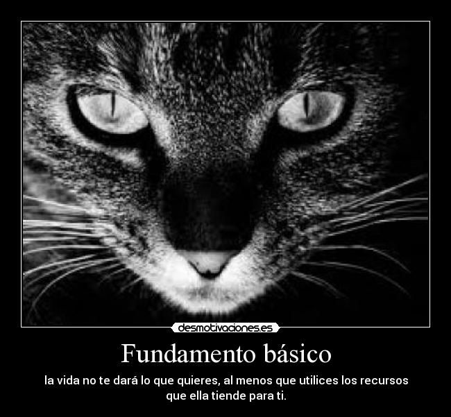Fundamento básico - la vida no te dará lo que quieres, al menos que utilices los recursos
que ella tiende para ti.