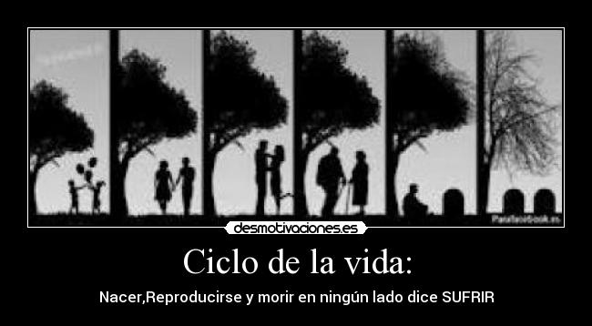 Ciclo de la vida: - Nacer,Reproducirse y morir en ningún lado dice SUFRIR