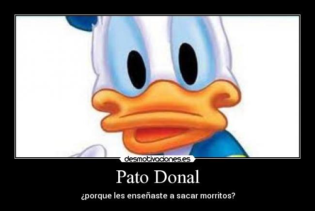 Pato Donal - ¿porque les enseñaste a sacar morritos?