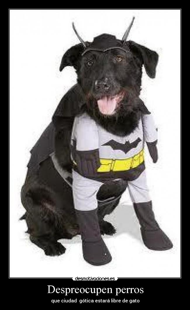 carteles dfgt desmotivaciones