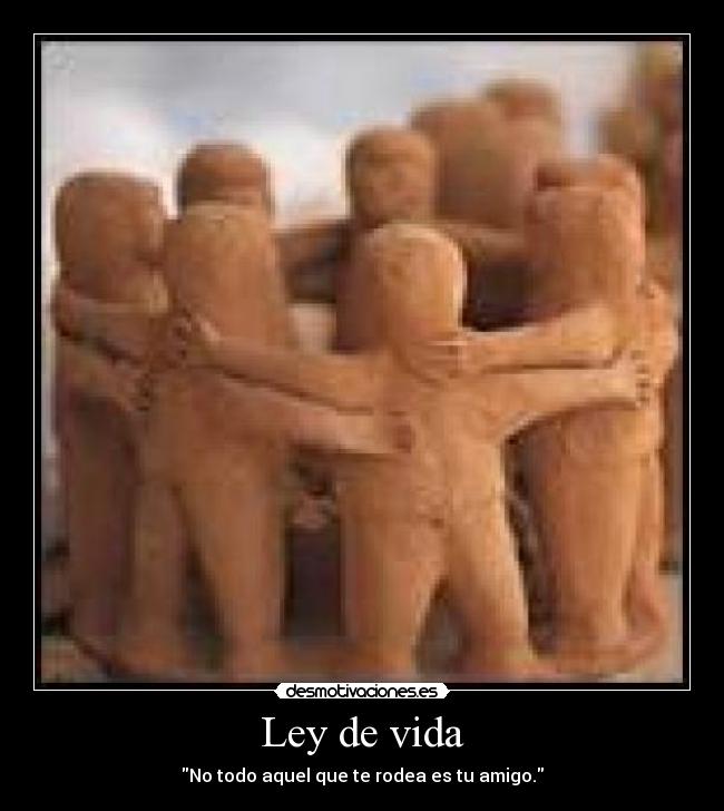 Ley de vida -