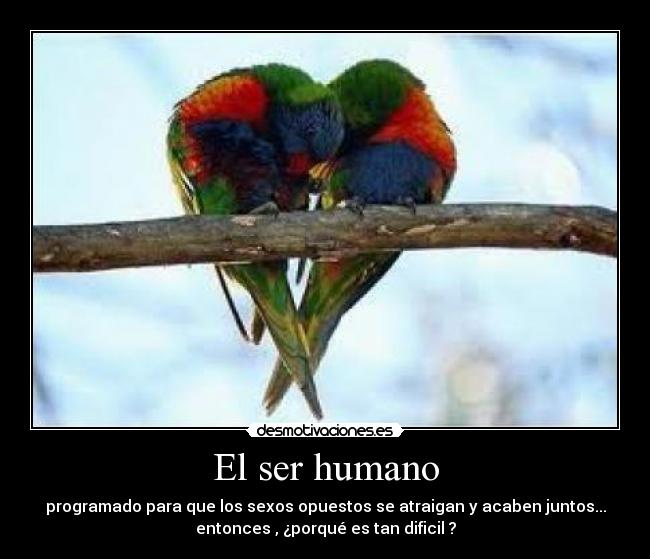 El ser humano - programado para que los sexos opuestos se atraigan y acaben juntos...
entonces , ¿porqué es tan dificil ?