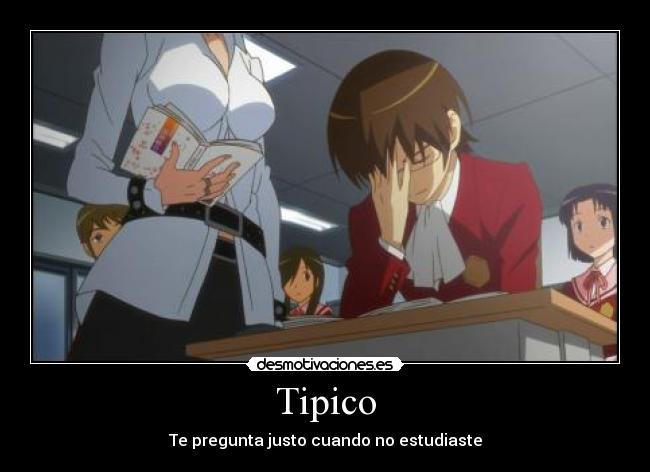 Tipico -