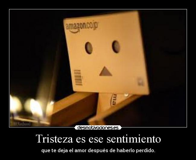 Tristeza es ese sentimiento - que te deja el amor después de haberlo perdido.