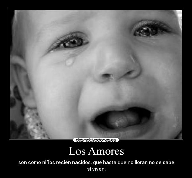 Los Amores -