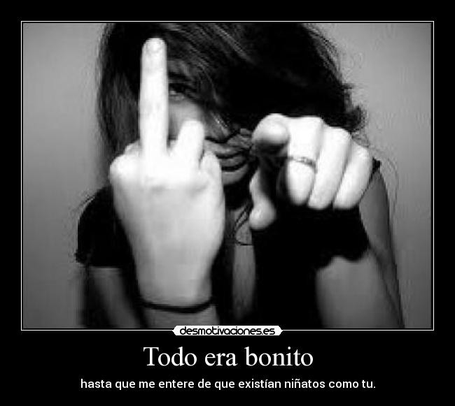 Todo era bonito - hasta que me entere de que existían niñatos como tu.