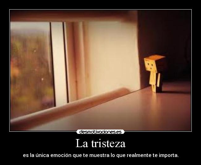 La tristeza - es la única emoción que te muestra lo que realmente te importa.