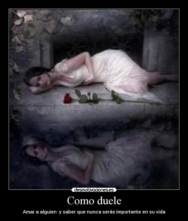 carteles desamor desmotivaciones