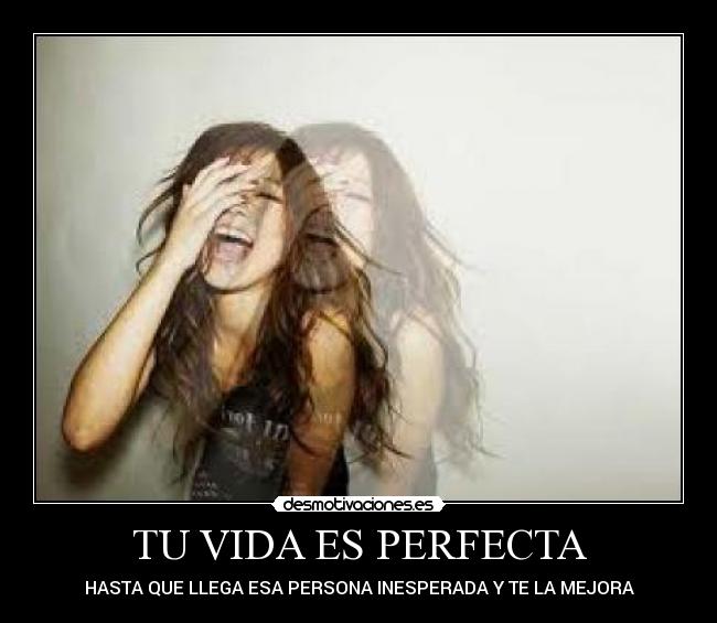 carteles vida lovepocholate desmotivaciones