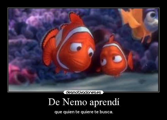 De Nemo aprendí - que quien te quiere te busca.