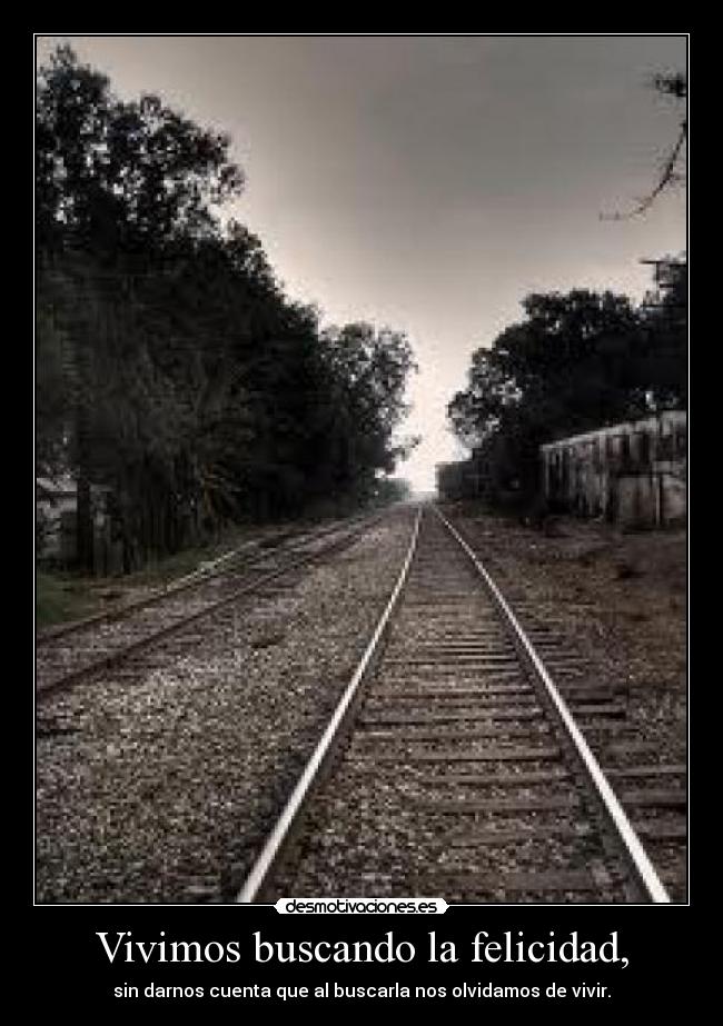 Vivimos buscando la felicidad, - sin darnos cuenta que al buscarla nos olvidamos de vivir.