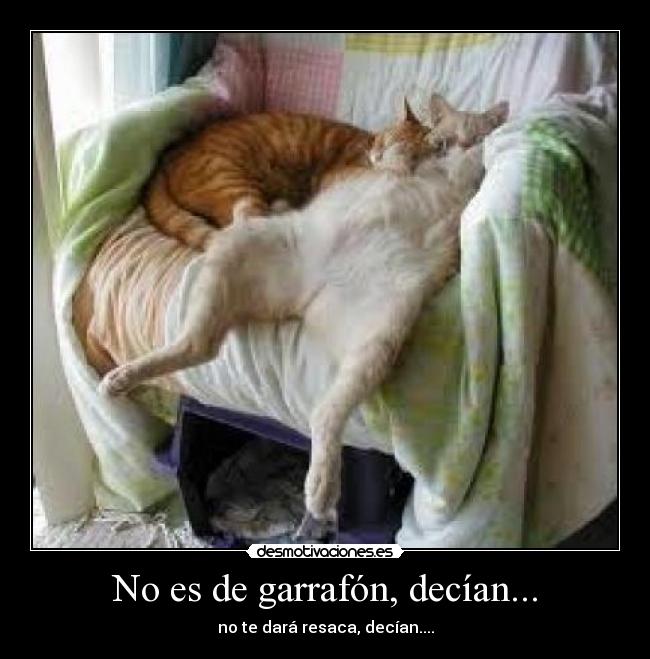 No es de garrafón, decían... - no te dará resaca, decían....