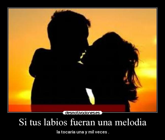 carteles pollito asomada desmotivaciones