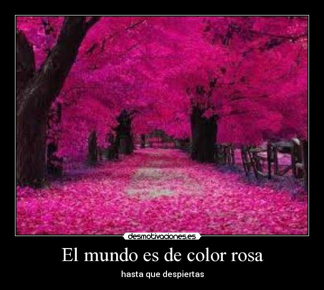 El mundo es de color rosa - hasta que despiertas