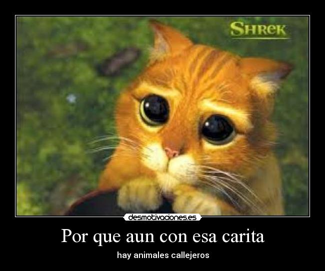 Por que aun con esa carita - 