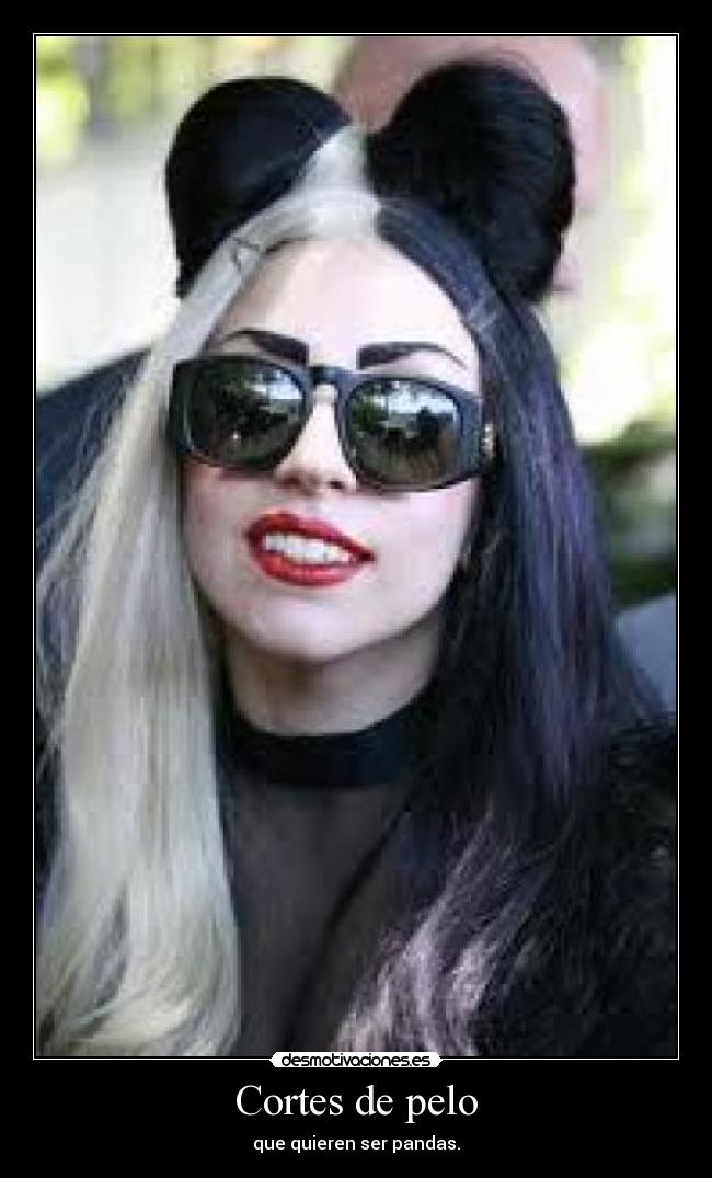 carteles pandas desmotivaciones