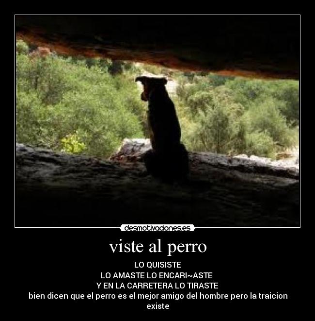 carteles boombadoo desmotivaciones