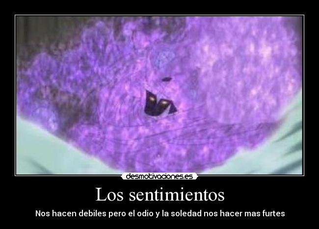 Los sentimientos - Nos hacen debiles pero el odio y la soledad nos hacer mas furtes