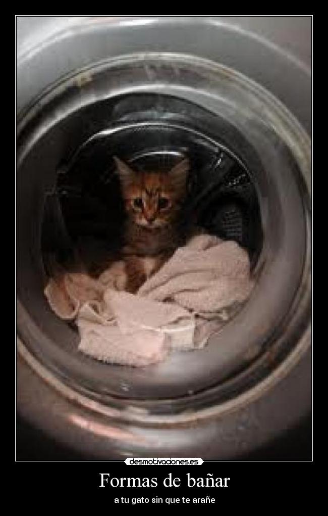 Formas de bañar - 