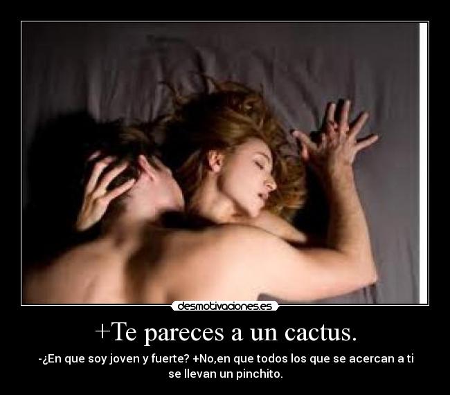+Te pareces a un cactus. -