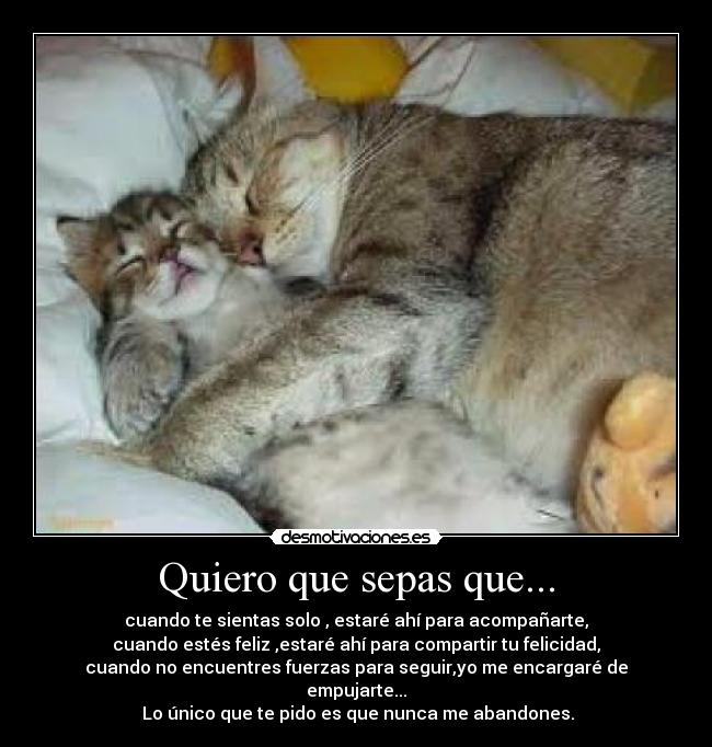 Quiero que sepas que... -