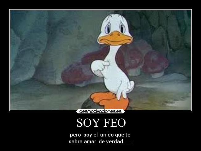 SOY FEO -
