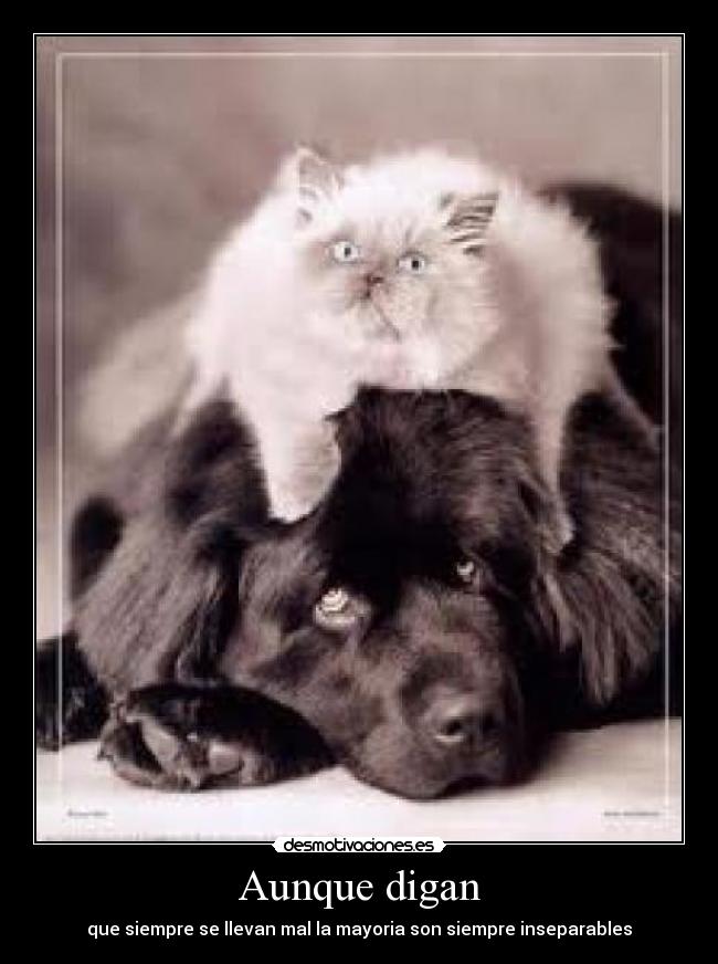 Aunque digan - que siempre se llevan mal la mayoria son siempre inseparables