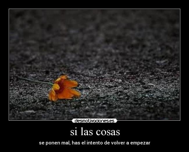 carteles gfd desmotivaciones