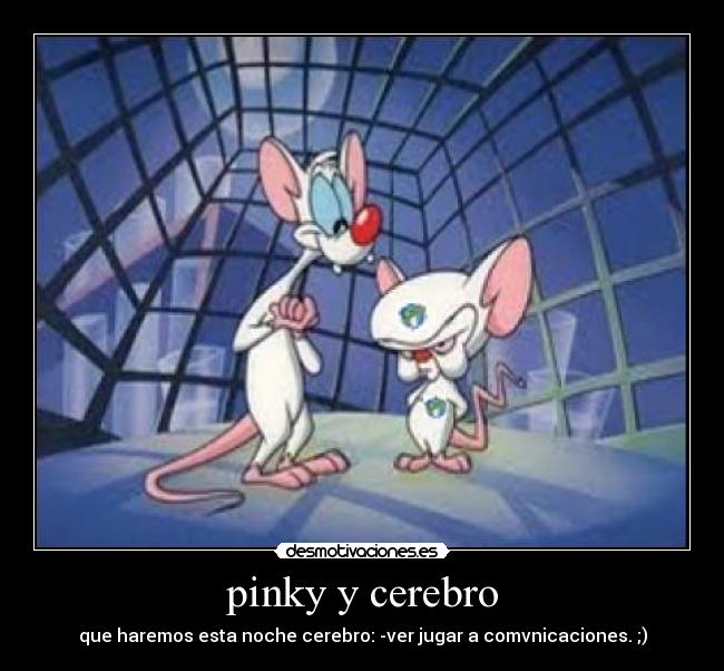 pinky y cerebro - que haremos esta noche cerebro: -ver jugar a comvnicaciones. ;)