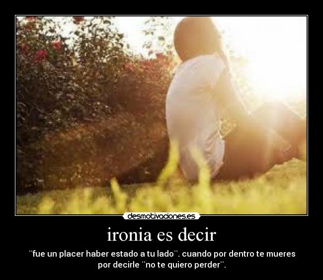 ironia es decir - 