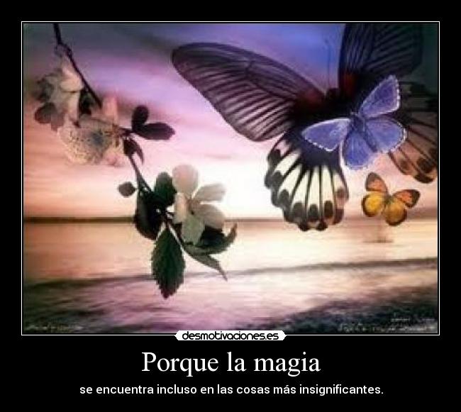 Porque la magia -